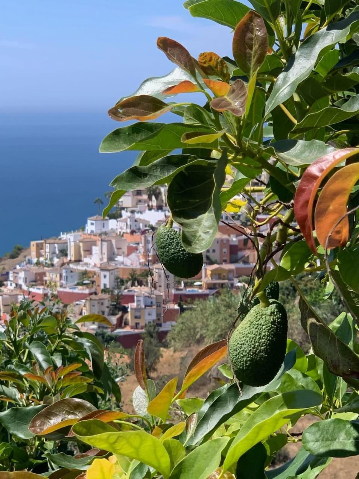 Apartamento Casa Grace Nerja Exterior foto
